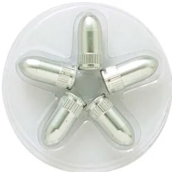 BOUCHONS DE VALVES ARGENT 5 PIÈCES