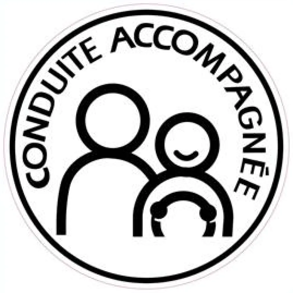 Disque Conduite accompagnée adhésif CADOX