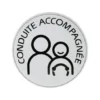 Disque conduite accompagnée électrostatique - CARLINEA