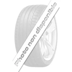 Pneu MICHELIN 255-40R20 PS EV